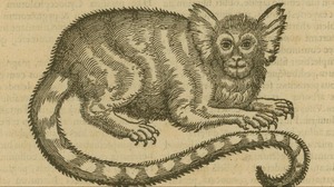 Juan Eusebio Nieremberg