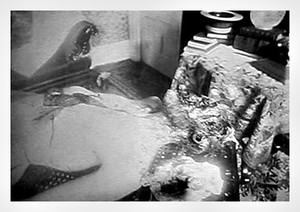 Lizzie Andrew Borden