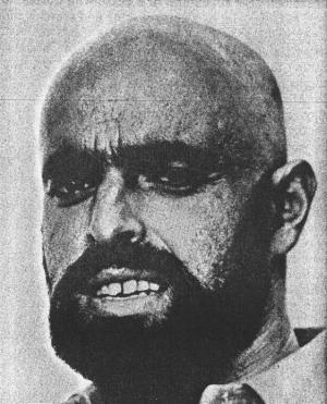 Shel Silverstein