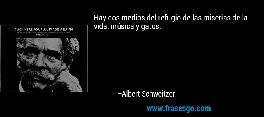 Hay dos medios del refugio de las miserias de la vida: música y gatos. – Albert Schweitzer