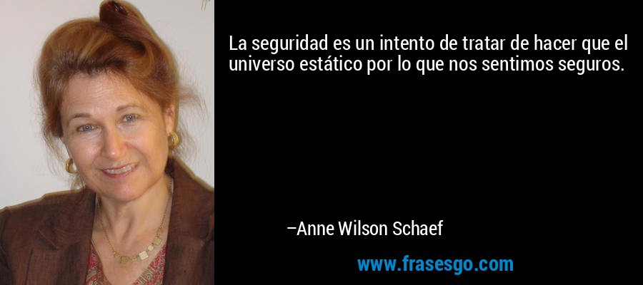 La seguridad es un intento de tratar de hacer que el universo estático por lo que nos sentimos seguros. – Anne Wilson Schaef