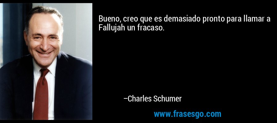 Bueno, creo que es demasiado pronto para llamar a Fallujah un fracaso. – Charles Schumer