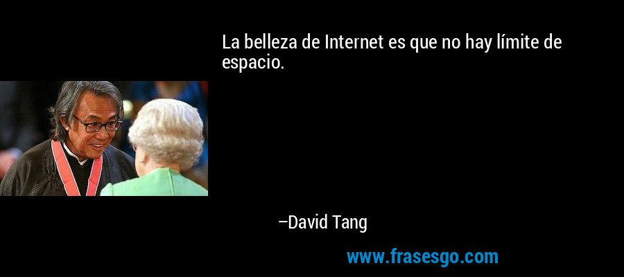 La belleza de Internet es que no hay límite de espacio. – David Tang