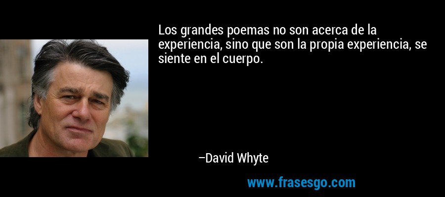 Los grandes poemas no son acerca de la experiencia, sino que son la propia experiencia, se siente en el cuerpo. – David Whyte