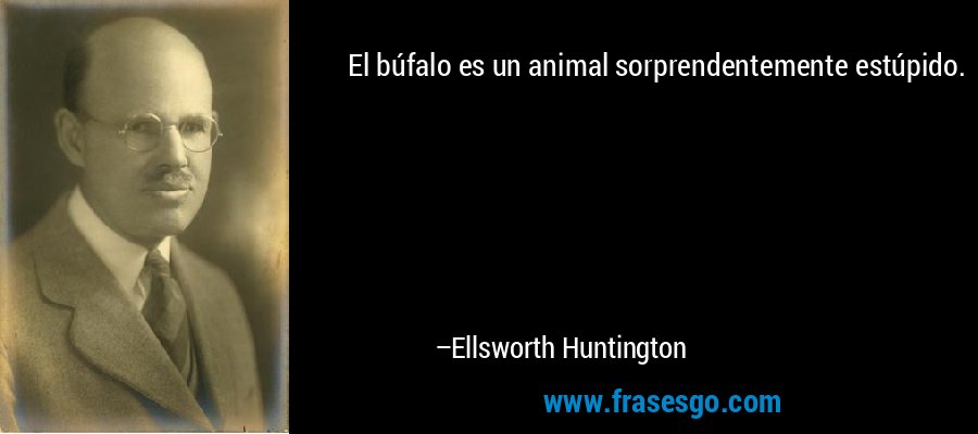 El búfalo es un animal sorprendentemente estúpido. – Ellsworth Huntington