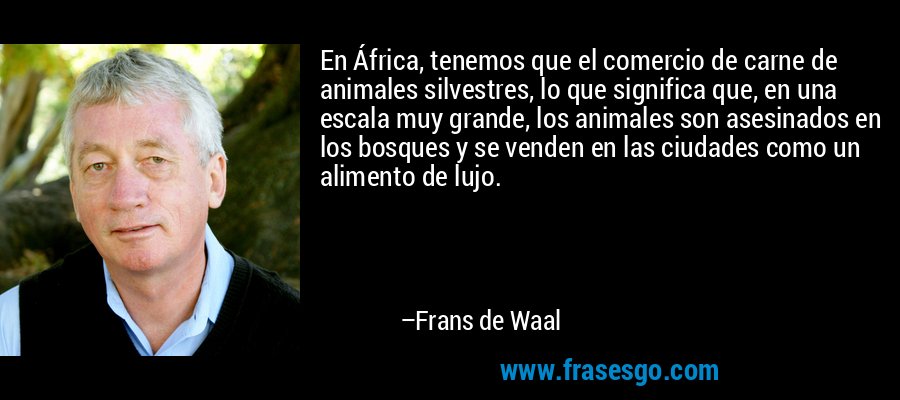 En África, tenemos que el comercio de carne de animales silvestres, lo que significa que, en una escala muy grande, los animales son asesinados en los bosques y se venden en las ciudades como un alimento de lujo. – Frans de Waal