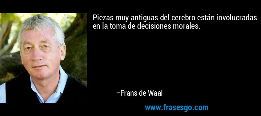 Piezas muy antiguas del cerebro están involucradas en la toma de decisiones morales. – Frans de Waal
