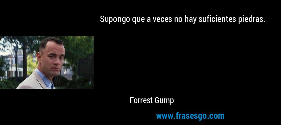 Supongo que a veces no hay suficientes piedras. – Forrest Gump