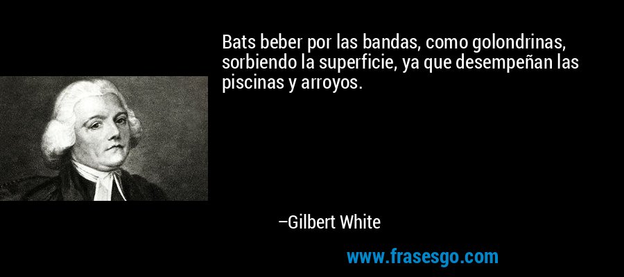 Bats beber por las bandas, como golondrinas, sorbiendo la superficie, ya que desempeñan las piscinas y arroyos. – Gilbert White