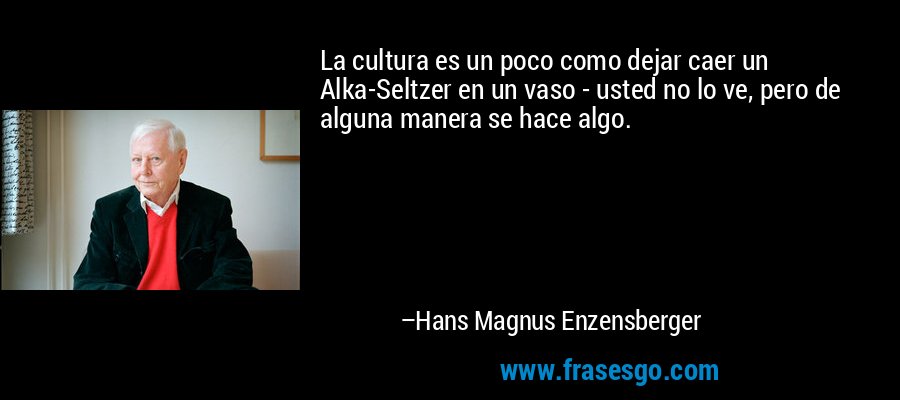 La cultura es un poco como dejar caer un Alka-Seltzer en un vaso - usted no lo ve, pero de alguna manera se hace algo. – Hans Magnus Enzensberger