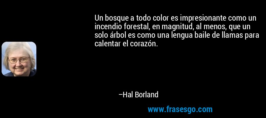 Un bosque a todo color es impresionante como un incendio forestal, en magnitud, al menos, que un solo árbol es como una lengua baile de llamas para calentar el corazón. – Hal Borland