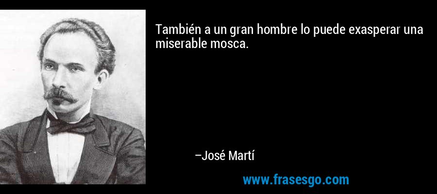 También a un gran hombre lo puede exasperar una miserable mosca. – José Martí