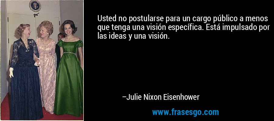 Usted no postularse para un cargo público a menos que tenga una visión específica. Está impulsado por las ideas y una visión. – Julie Nixon Eisenhower