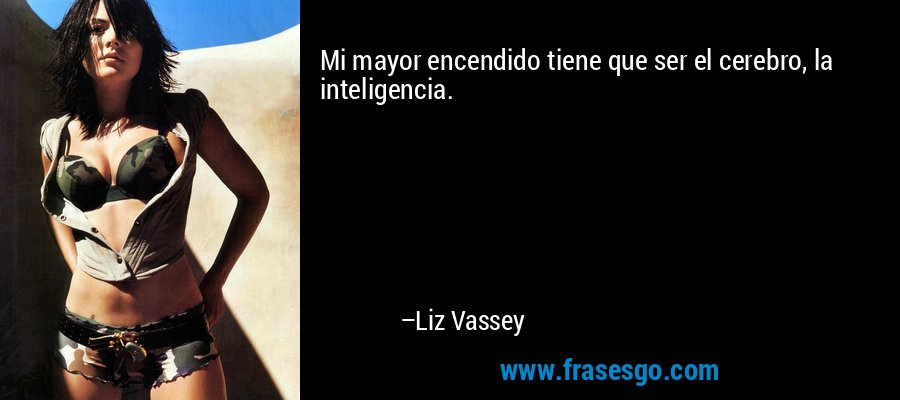 Mi mayor encendido tiene que ser el cerebro, la inteligencia. – Liz Vassey