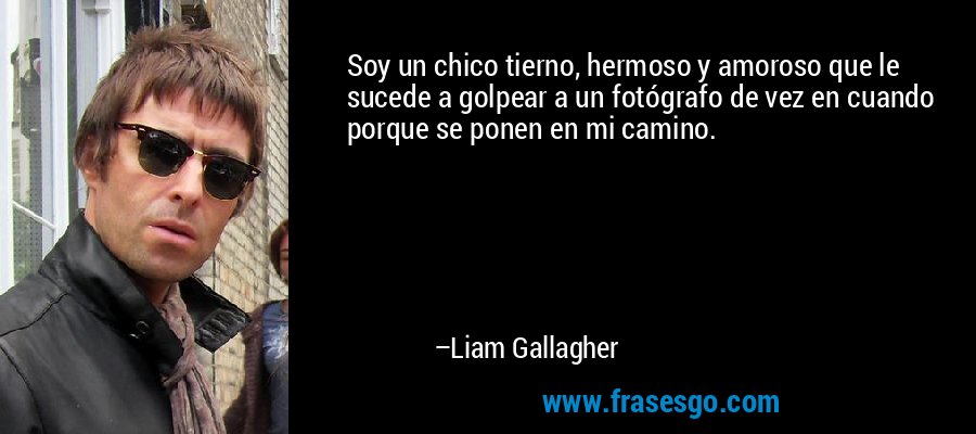 Soy un chico tierno, hermoso y amoroso que le sucede a golpear a un fotógrafo de vez en cuando porque se ponen en mi camino. – Liam Gallagher
