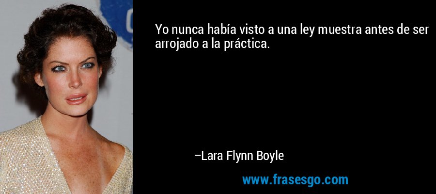 Yo nunca había visto a una ley muestra antes de ser arrojado a la práctica. – Lara Flynn Boyle