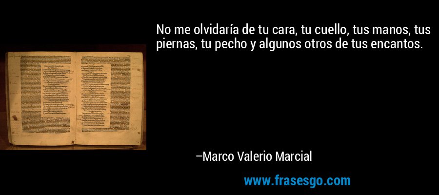 No me olvidaría de tu cara, tu cuello, tus manos, tus piernas, tu pecho y algunos otros de tus encantos. – Marco Valerio Marcial