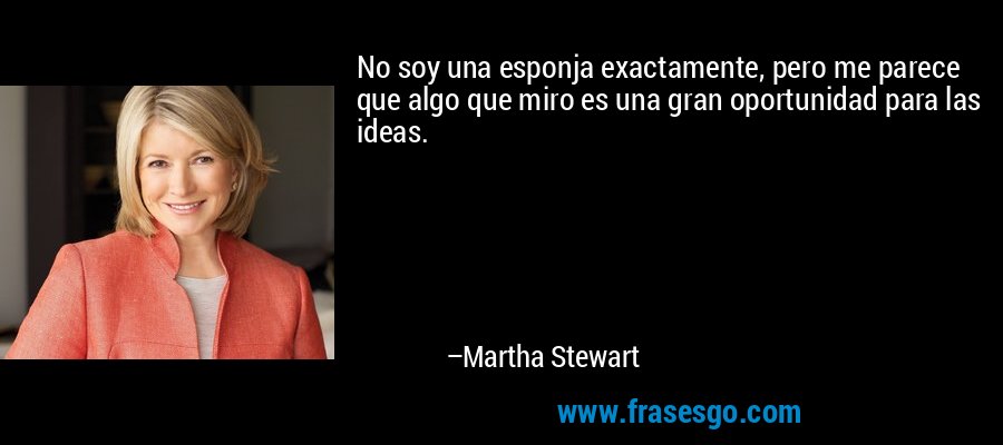 No soy una esponja exactamente, pero me parece que algo que miro es una gran oportunidad para las ideas. – Martha Stewart