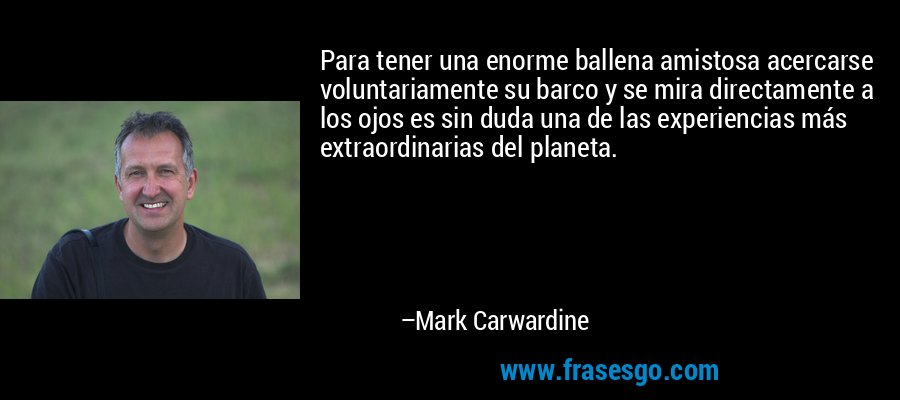 Para tener una enorme ballena amistosa acercarse voluntariamente su barco y se mira directamente a los ojos es sin duda una de las experiencias más extraordinarias del planeta. – Mark Carwardine