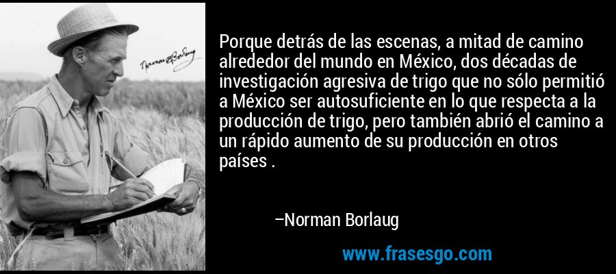 Porque detrás de las escenas, a mitad de camino alrededor del mundo en México, dos décadas de investigación agresiva de trigo que no sólo permitió a México ser autosuficiente en lo que respecta a la producción de trigo, pero también abrió el camino a un rápido aumento de su producción en otros países . – Norman Borlaug