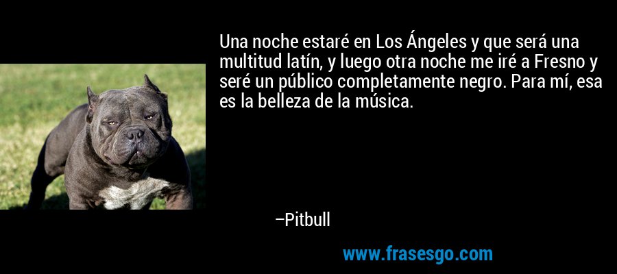 Una noche estaré en Los Ángeles y que será una multitud latín, y luego otra noche me iré a Fresno y seré un público completamente negro. Para mí, esa es la belleza de la música. – Pitbull