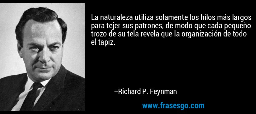 La naturaleza utiliza solamente los hilos más largos para tejer sus patrones, de modo que cada pequeño trozo de su tela revela que la organización de todo el tapiz. – Richard P. Feynman