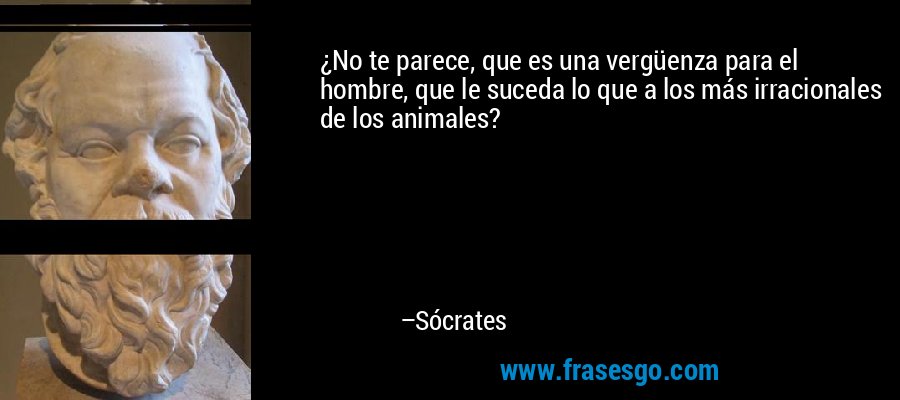 ¿No te parece, que es una vergüenza para el hombre, que le suceda lo que a los más irracionales de los animales? – Sócrates
