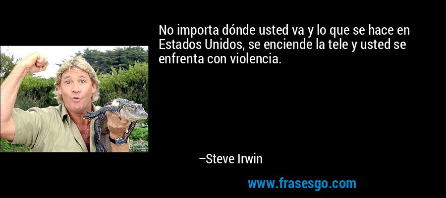 No importa dónde usted va y lo que se hace en Estados Unidos, se enciende la tele y usted se enfrenta con violencia. – Steve Irwin