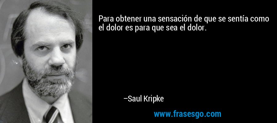 Para obtener una sensación de que se sentía como el dolor es para que sea el dolor. – Saul Kripke
