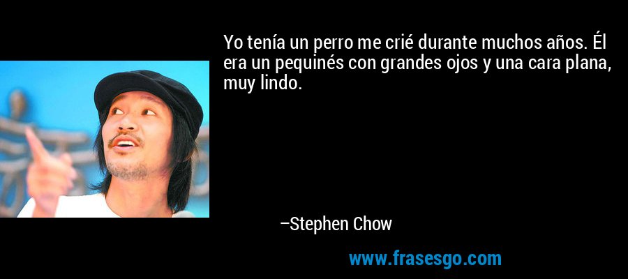 Yo tenía un perro me crié durante muchos años. Él era un pequinés con grandes ojos y una cara plana, muy lindo. – Stephen Chow