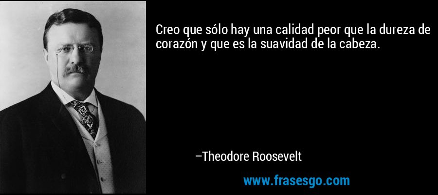 Creo que sólo hay una calidad peor que la dureza de corazón y que es la suavidad de la cabeza. – Theodore Roosevelt
