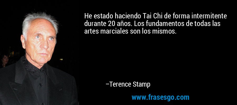 He estado haciendo Tai Chi de forma intermitente durante 20 años. Los fundamentos de todas las artes marciales son los mismos. – Terence Stamp