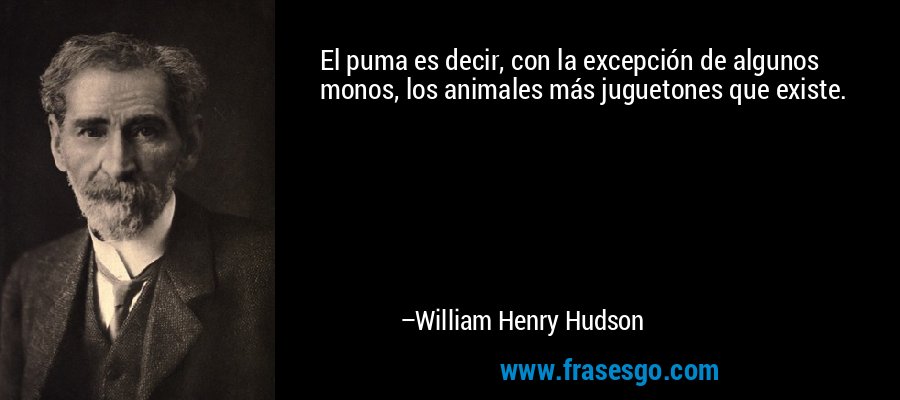 El puma es decir, con la excepción de algunos monos, los animales más juguetones que existe. – William Henry Hudson